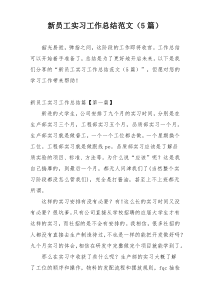 新员工实习工作总结范文（5篇）