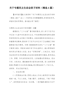 关于专题民主生活会班子材料（精选4篇）