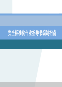 难得的安全标准化指导书