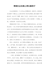 寒假社会实践心得长篇例子