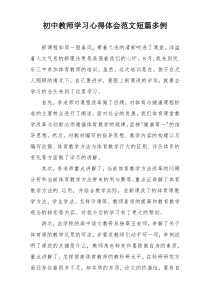 初中教师学习心得体会范文短篇多例