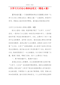 大学习大讨论心得体会范文（精选4篇）