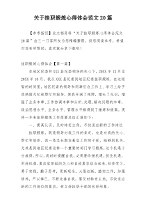 关于挂职锻炼心得体会范文20篇