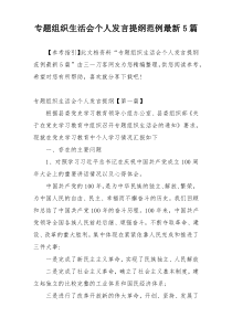 专题组织生活会个人发言提纲范例最新5篇