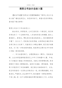 商贸公司会计总结3篇