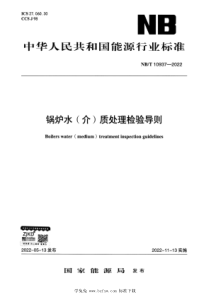 NBT 10937-2022 锅炉水(介)质处理检验导则 