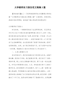 大学教师实习报告范文锦集3篇