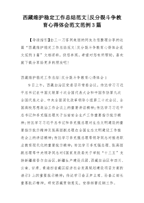 西藏维护稳定工作总结范文-反分裂斗争教育心得体会范文范例3篇