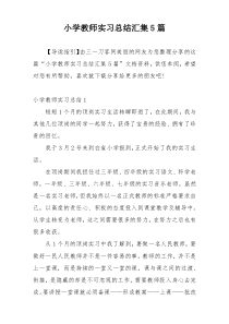 小学教师实习总结汇集5篇