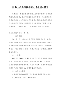 财务文员实习报告范文【最新4篇】