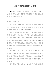 团员存在的问题和不足3篇