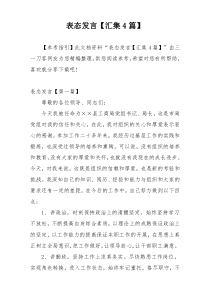 表态发言【汇集4篇】