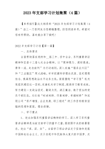 2023年支部学习计划集聚（4篇）