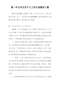 新一年公司文员个人工作计划通用3篇