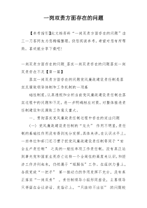 一岗双责方面存在的问题