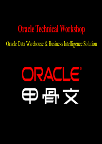 oracle_OLAP