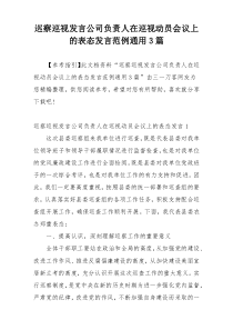 巡察巡视发言公司负责人在巡视动员会议上的表态发言范例通用3篇