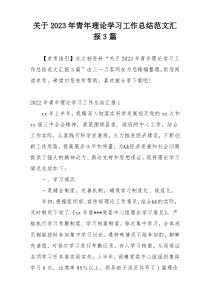 关于2023年青年理论学习工作总结范文汇报3篇