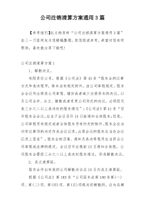 公司注销清算方案通用3篇