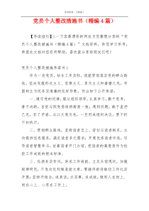 党员个人整改措施书（精编4篇）