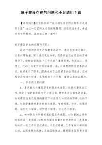 班子建设存在的问题和不足通用5篇