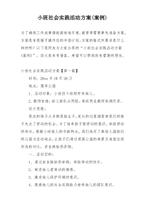 小班社会实践活动方案(案例)