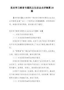 党史学习教育专题民主生活会点评集聚20篇