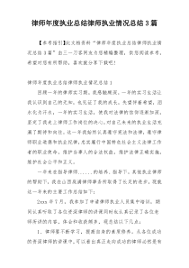 律师年度执业总结律师执业情况总结3篇