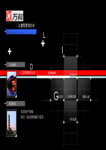 思源-万科朗润园年度营销执行细案