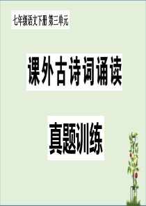 1 七年级语文下册 第三单元 课外古诗词诵读真题演练（带答案）