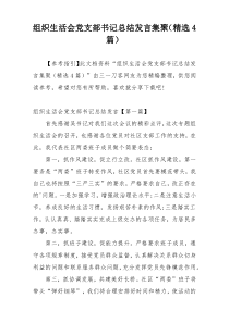 组织生活会党支部书记总结发言集聚（精选4篇）