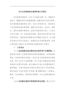 关于全区持续优化营商环境工作要点