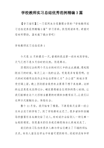 学校教师实习总结优秀范例精编3篇