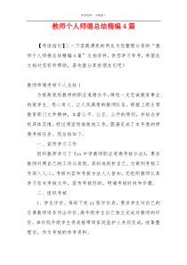 教师个人师德总结精编4篇