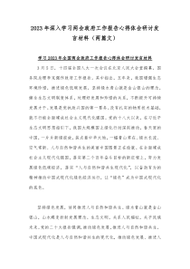 2023年深入学习两会政府工作报告心得体会研讨发言材料（两篇文）