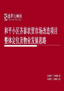 盛世行顾问和平小区齐泰农贸市场改造项目定位及物业发展思路报告(68页)