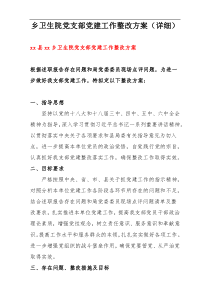 乡卫生院党支部党建工作整改方案（详细）