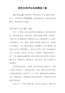 团员自我评议总结精选5篇