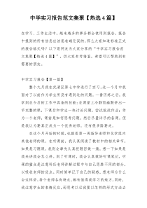 中学实习报告范文集聚【热选4篇】