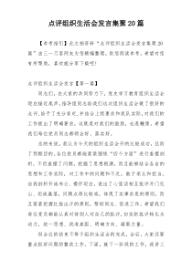 点评组织生活会发言集聚20篇