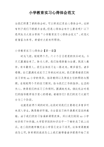 小学教育实习心得体会范文