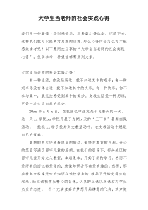 大学生当老师的社会实践心得