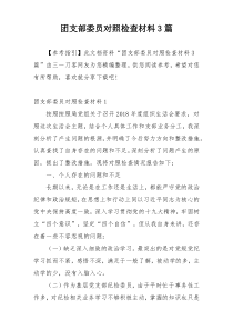 团支部委员对照检查材料3篇