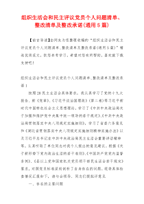 组织生活会和民主评议党员个人问题清单、整改清单及整改承诺(通用5篇)