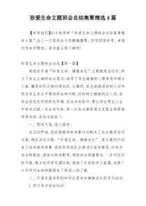 珍爱生命主题班会总结集聚精选4篇