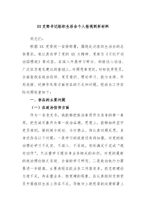 XX支部书记组织生活会个人检视剖析材料