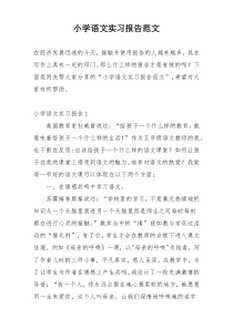 小学语文实习报告范文