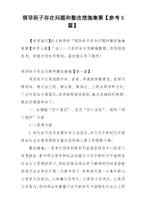 领导班子存在问题和整改措施集聚【参考5篇】