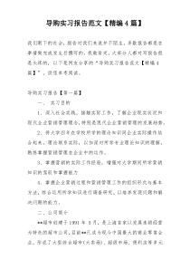 导购实习报告范文【精编4篇】