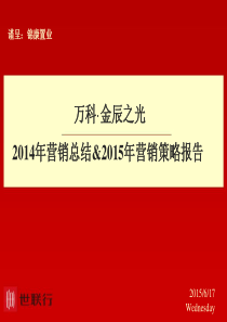 最新世联杭州万科金辰之光年度总纲